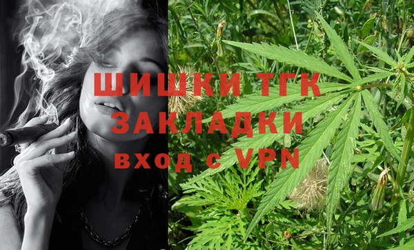 ГАЛЛЮЦИНОГЕННЫЕ ГРИБЫ Алзамай