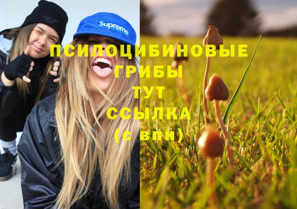 MDMA Premium VHQ Алексеевка